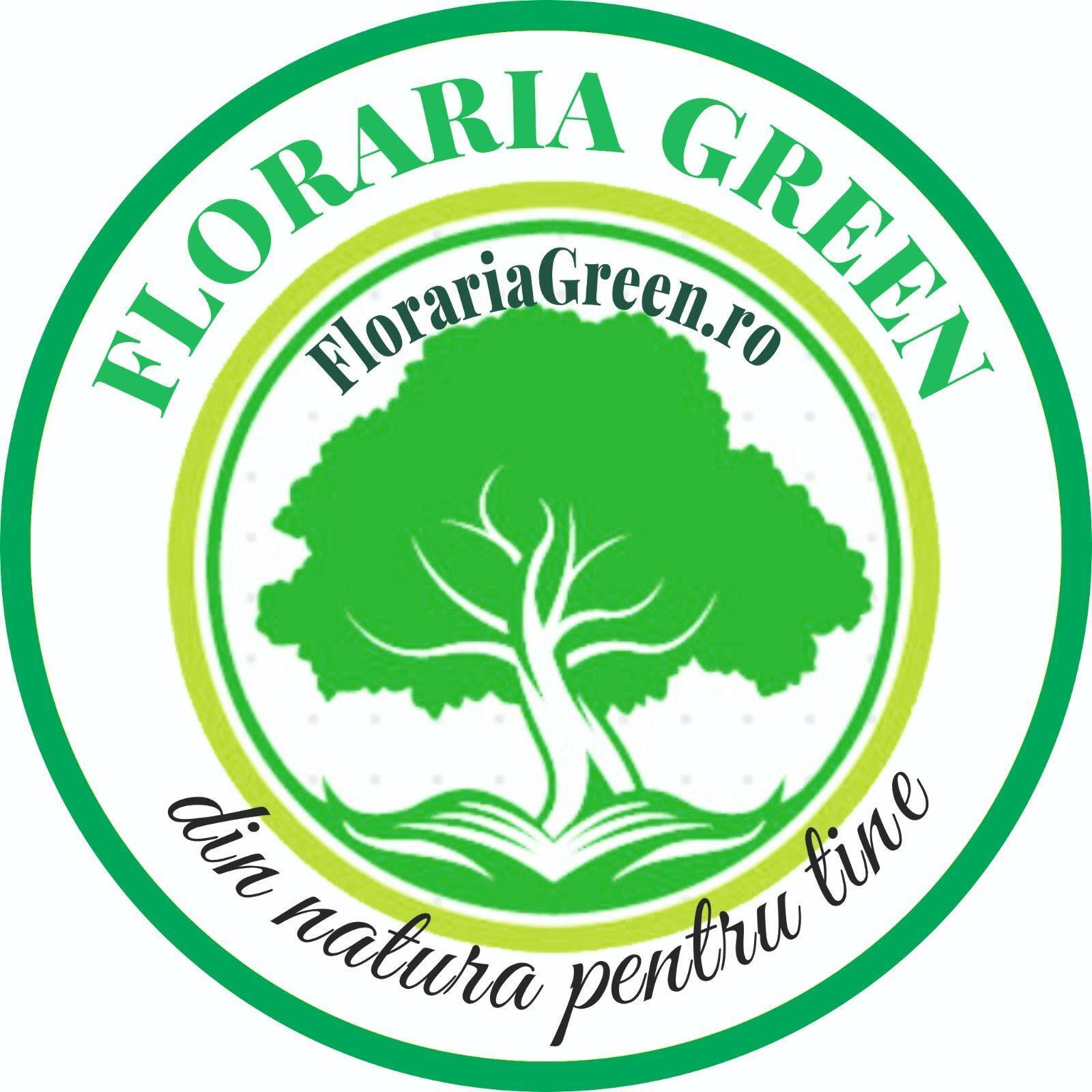 florariefocsani.ro